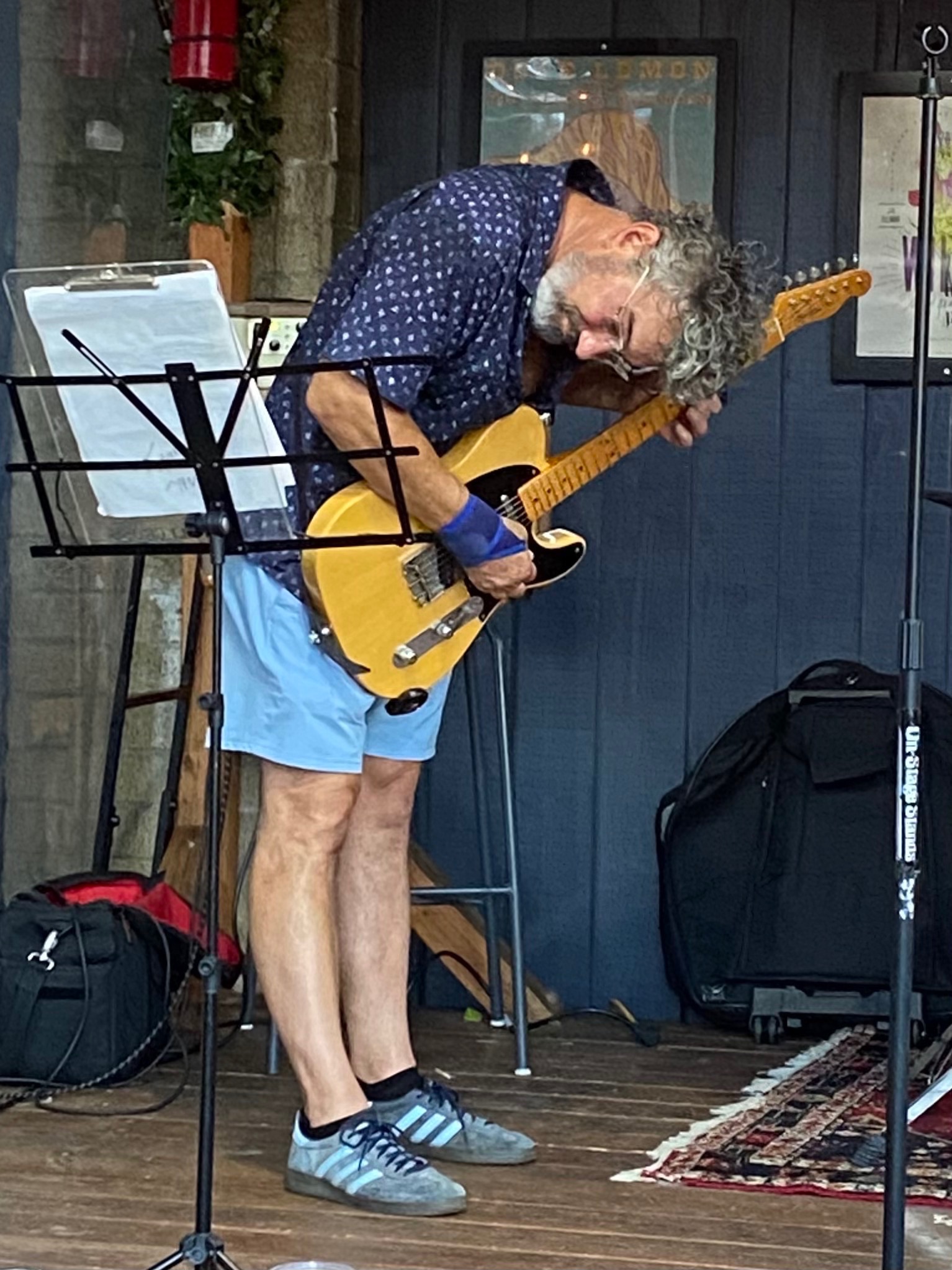 Guitarist performance